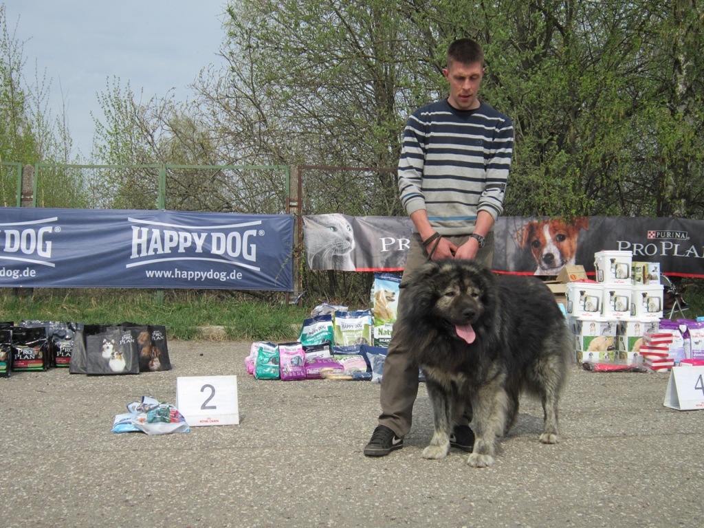 Rusguard club dog show 29.04.2012.